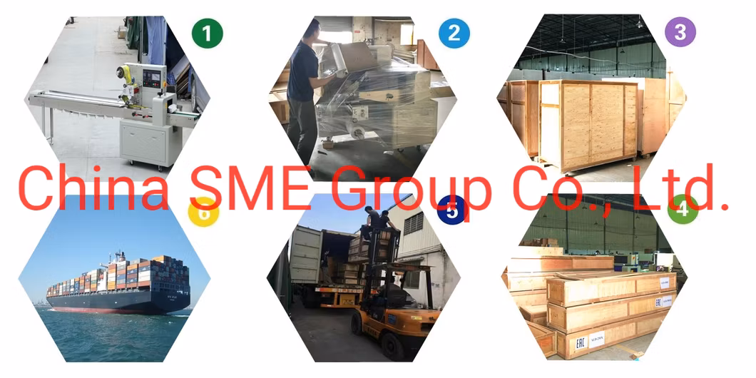 CE Approval Automatic Horizontal Biscuits Flowpack Packing Machine